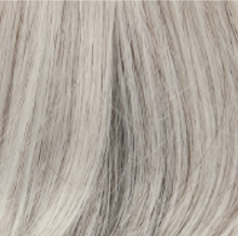 Laden Sie das Bild in den Galerie-Viewer, Aster